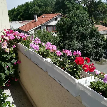 Apartament Sarafovo End Airport 3 Bedrooms Eurovision Edition